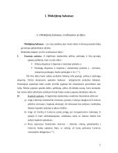 Užsienio investicijos Lietuvoje ir jų įtaka mokėjimų balanse 4 puslapis