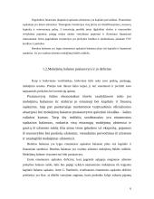 Užsienio investicijos Lietuvoje ir jų įtaka mokėjimų balanse 5 puslapis