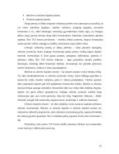 Užsienio investicijos Lietuvoje ir jų įtaka mokėjimų balanse 9 puslapis