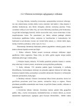 Užsienio investicijos Lietuvoje ir jų įtaka mokėjimų balanse 10 puslapis