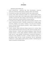 Viešojo administravimo modernizavimas pagal naująją viešąją vadybą 13 puslapis