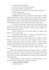 Viešojo administravimo modernizavimas pagal naująją viešąją vadybą 6 puslapis