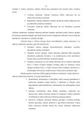 Viešojo administravimo modernizavimas pagal naująją viešąją vadybą 10 puslapis