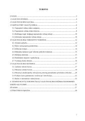 Užsienio valiutų rinka, jos funkcijos 2 puslapis