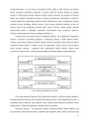 Užsienio valiutų rinka, jos funkcijos 12 puslapis