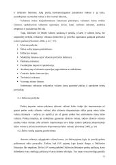 Užsienio valiutų rinka, jos funkcijos 13 puslapis