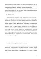 Užsienio valiutų rinka, jos funkcijos 14 puslapis