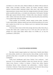 Užsienio valiutų rinka, jos funkcijos 16 puslapis