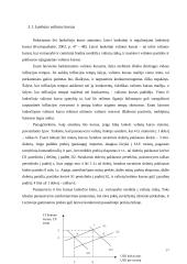 Užsienio valiutų rinka, jos funkcijos 17 puslapis