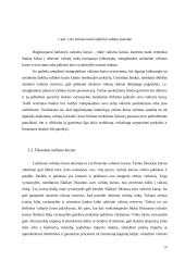 Užsienio valiutų rinka, jos funkcijos 18 puslapis