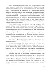 Užsienio valiutų rinka, jos funkcijos 20 puslapis