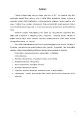 Užsienio valiutų rinka, jos funkcijos 3 puslapis