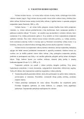 Užsienio valiutų rinka, jos funkcijos 5 puslapis