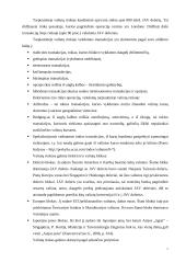 Užsienio valiutų rinka, jos funkcijos 7 puslapis