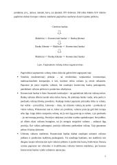 Užsienio valiutų rinka, jos funkcijos 9 puslapis