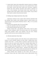 Užsienio valiutų rinka, jos funkcijos 10 puslapis