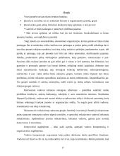 Vadybiniai sprendimai 17 puslapis