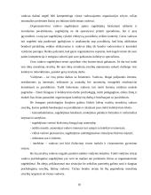 Vadybiniai sprendimai 18 puslapis