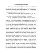 Vadybiniai sprendimai 3 puslapis