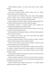 Vietos savivalda, jos samprata, teisinis veiklos pagrindas, savivaldos sistemos 14 puslapis