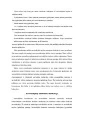 Vietos savivalda, jos samprata, teisinis veiklos pagrindas, savivaldos sistemos 17 puslapis