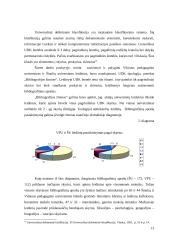 Vilniaus pedagoginio universiteto ir Šiaulių universiteto leidybinės veiklos 1995 – 2000 metais lyginamoji analizė 13 puslapis