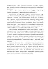 Vadybos samprata ir kryptys 13 puslapis