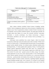 Vadybos samprata ir kryptys 14 puslapis