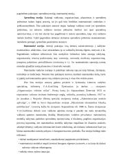 Vadybos samprata ir kryptys 17 puslapis