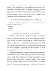 Vadybos samprata ir kryptys 18 puslapis