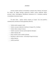 Vadybos samprata ir kryptys 3 puslapis