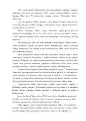 Vadybos samprata ir kryptys 7 puslapis