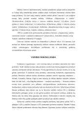 Vadybos samprata ir kryptys 8 puslapis