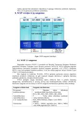WAP saugumas 13 puslapis