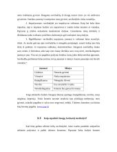 Vaikų suicidijos prevencija mokykloje 19 puslapis