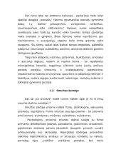 Vaikų suicidijos prevencija mokykloje 4 puslapis