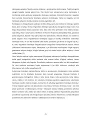 Žemėlapių sudarymas ir atnaujinimas 11 puslapis