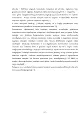 Žemėlapių sudarymas ir atnaujinimas 17 puslapis
