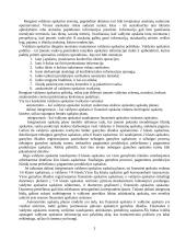 Valdymo apskaitos teorija 3 puslapis