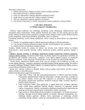 Valdymo apskaitos teorija 4 puslapis