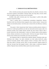 Žemės paviršiaus plotų niveliavimas 11 puslapis