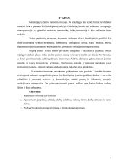 Žemės paviršiaus plotų niveliavimas 3 puslapis