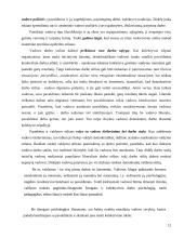 Valdymo stilių aprašymas 12 puslapis