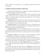 Valdymo stilių aprašymas 15 puslapis