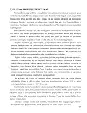 Valdymo stilių aprašymas 17 puslapis