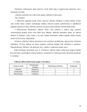 Valdymo stilių aprašymas 18 puslapis
