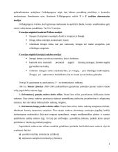 Valdymo stilių aprašymas 4 puslapis