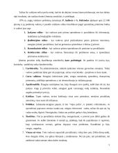 Valdymo stilių aprašymas 5 puslapis