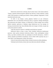 Žodinis (verbalinis) bendravimas 3 puslapis
