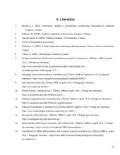 Valdžios ir piliečių konfliktai, tarpusavio komunikavimas 17 puslapis